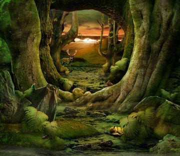 Forest Road 2 Wallpaper AJ Wallpaper 