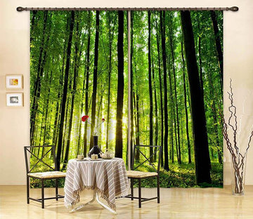 3D Forest Tall Trees 2235 Curtains Drapes Wallpaper AJ Wallpaper 