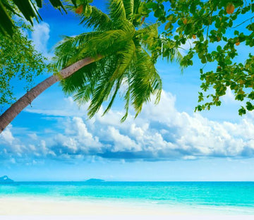 Beautiful Beach 3 Wallpaper AJ Wallpaper 