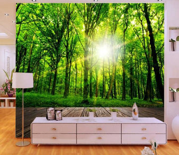 Green Forest 2 Wallpaper AJ Wallpaper 