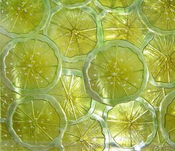 Orange Slices 2 Wallpaper AJ Wallpaper 