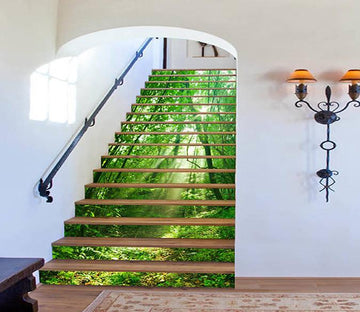 3D Green Forest Sunbeams 1174 Stair Risers Wallpaper AJ Wallpaper 