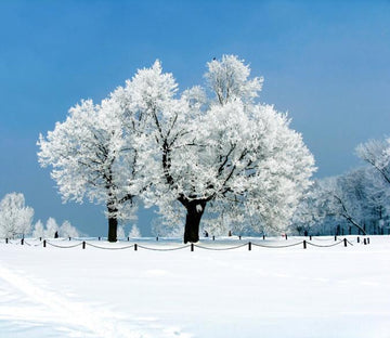 Snow And Ice World 1 Wallpaper AJ Wallpaper 