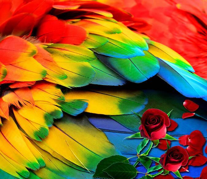 3D Colorful Feathers Floor Mural Wallpaper AJ Wallpaper 2 