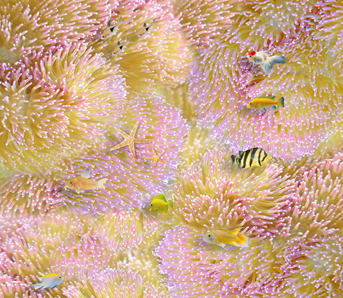 3D Shining Corals Floor Mural Wallpaper AJ Wallpaper 2 