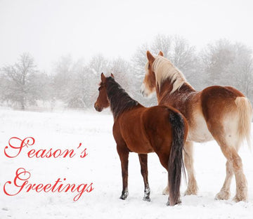 Walking Horses Wallpaper AJ Wallpaper 