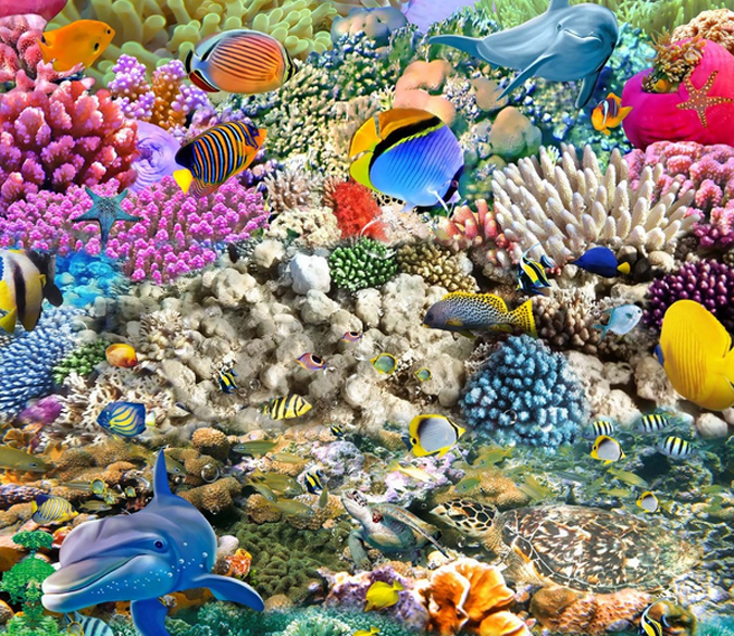 Ocean Graphics Colorful Colorful Ocean Floor