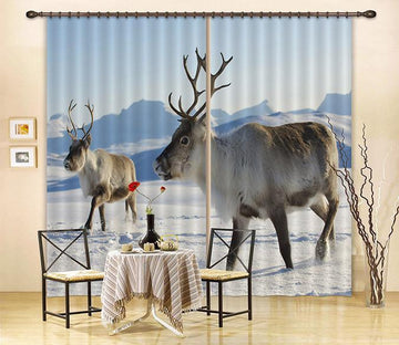 3D Snow Area Animals 115 Curtains Drapes Wallpaper AJ Wallpaper 