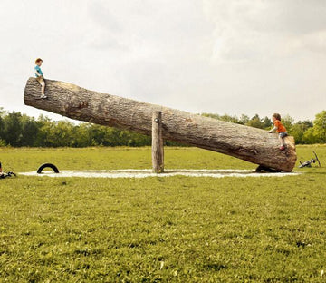 Lawn Seesaw Wallpaper AJ Wallpaper 