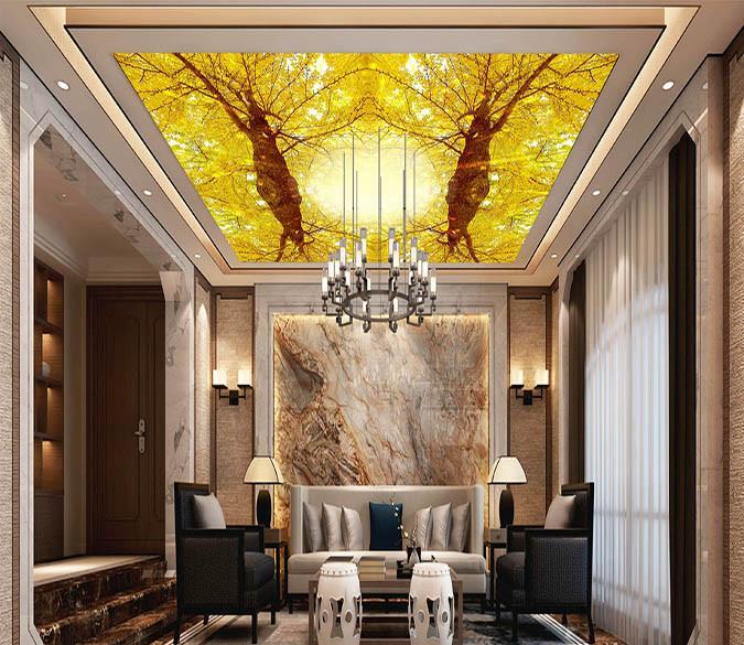 Symmetrical Trees Wallpaper AJ Wallpaper 