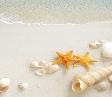 3D Beach Treasures Floor Mural Wallpaper AJ Wallpaper 2 