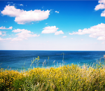 Beach 1 Wallpaper AJ Wallpaper 