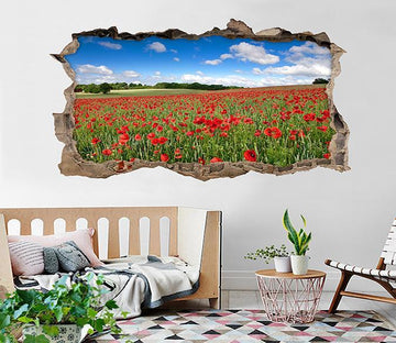 3D Flowers Field 001 Broken Wall Murals Wallpaper AJ Wallpaper 