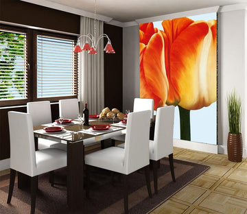 Orange Tulips 1 Wallpaper AJ Wallpaper 