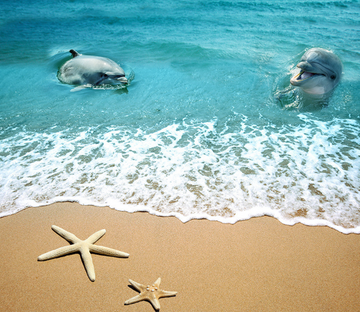 3D Beach Cute Dolphins Floor Mural Wallpaper AJ Wallpaper 2 