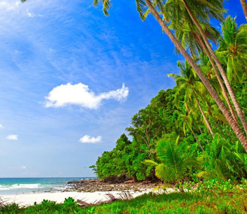 Beautiful Beach 7 Wallpaper AJ Wallpaper 