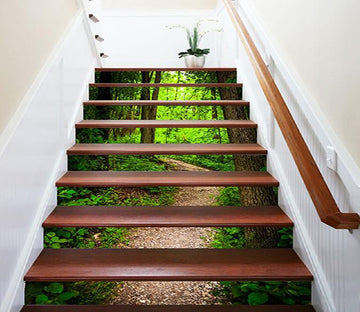 3D Green Forest Path 1025 Stair Risers Wallpaper AJ Wallpaper 
