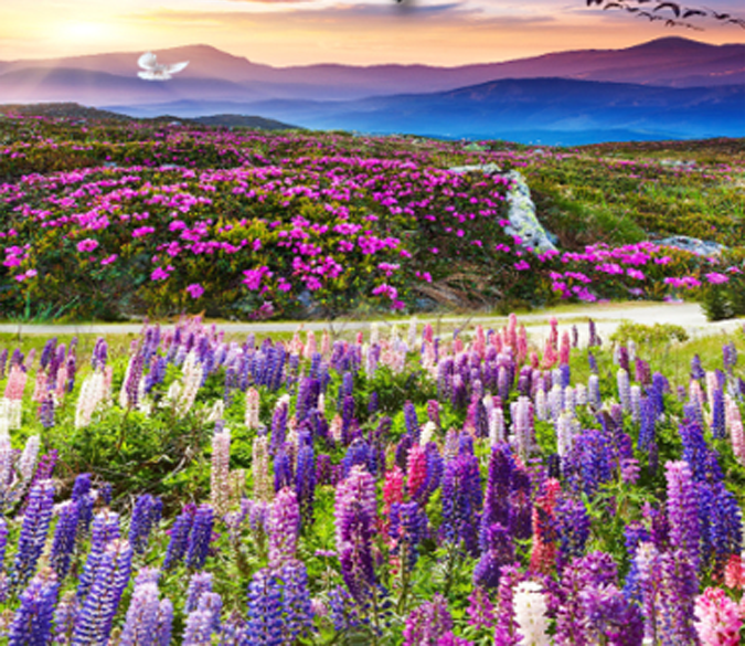 3D Wildflowers Floor Mural Wallpaper AJ Wallpaper 2 