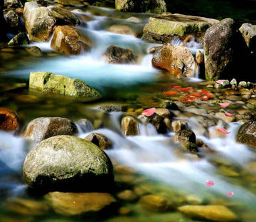 3D River Stones Floor Mural Wallpaper AJ Wallpaper 2 