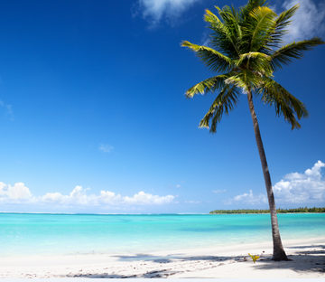 Beautiful Beach 8 Wallpaper AJ Wallpaper 