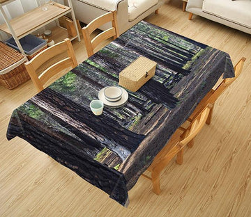 3D Forest Tree Trunks 448 Tablecloths Wallpaper AJ Wallpaper 