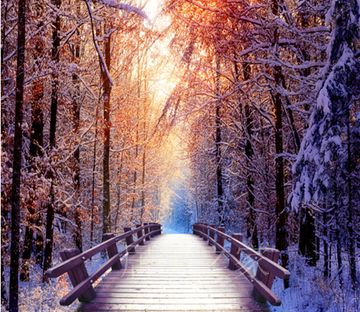 Snowy Forest Wallpaper AJ Wallpaper 