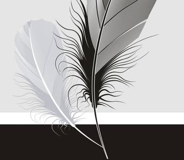 Two Feathers Wallpaper AJ Wallpaper 