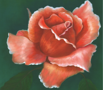 Red Blossom Wallpaper AJ Wallpaper 