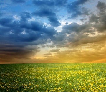 Beautiful Horizons 1 Wallpaper AJ Wallpaper 