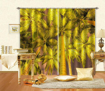 3D Tall Coconut Trees 121 Curtains Drapes Wallpaper AJ Wallpaper 