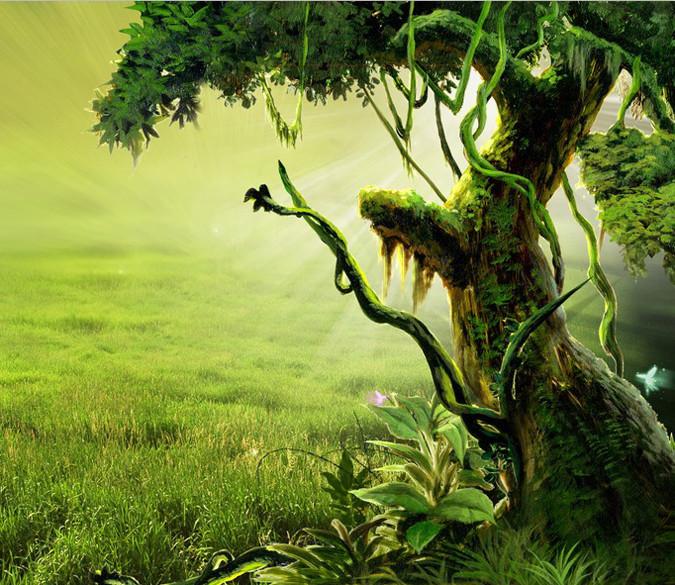 Field Scenery Wallpaper AJ Wallpaper 