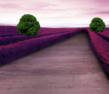 Flowers Field Road 1 Wallpaper AJ Wallpaper 