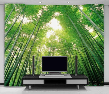 Bamboo Forest 5 Wallpaper AJ Wallpaper 