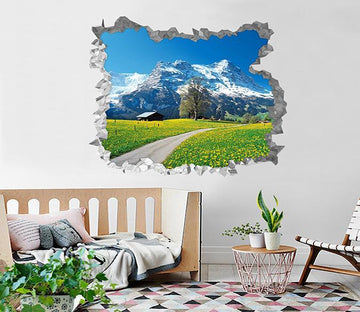 3D Snow Mountain Flowers 238 Broken Wall Murals Wallpaper AJ Wallpaper 