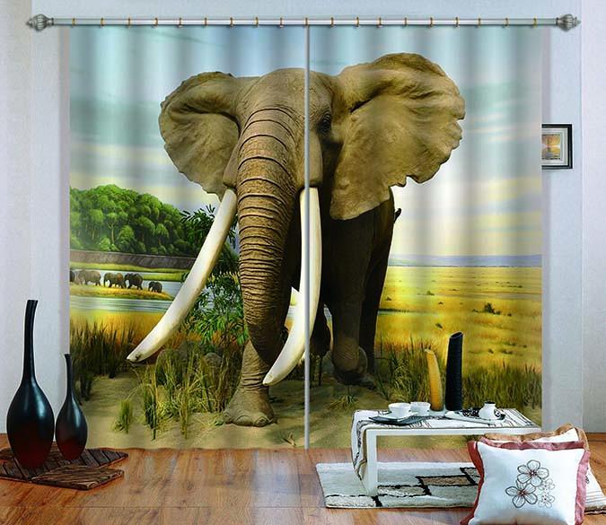 3D Big Elephant 797 Curtains Drapes Wallpaper AJ Wallpaper 