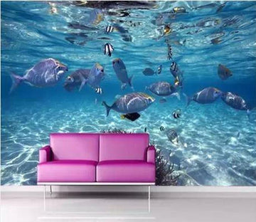 Seabed World Wallpaper AJ Wallpaper 