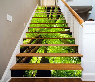 3D Tall Green Trees 1205 Stair Risers Wallpaper AJ Wallpaper 
