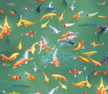 3D Colorful Fish Pond Floor Mural Wallpaper AJ Wallpaper 2 