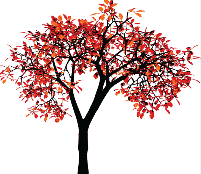 Red Leaves Tree Wallpaper AJ Wallpaper 