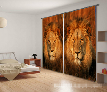 3D Lawn Lions 1203 Curtains Drapes Wallpaper AJ Wallpaper 