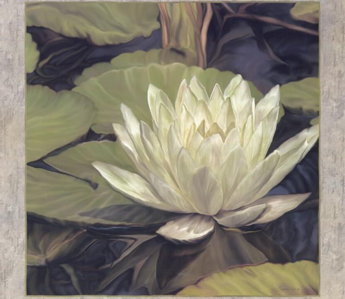 Blooming Lotus Wallpaper AJ Wallpaper 