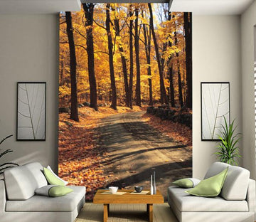 Forest Road Wallpaper AJ Wallpaper 