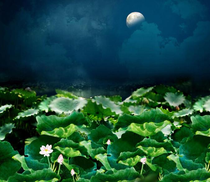 Moonlight Lotus Pond Wallpaper AJ Wallpaper 
