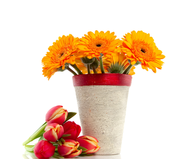 Arranging Flowers Wallpaper AJ Wallpaper 