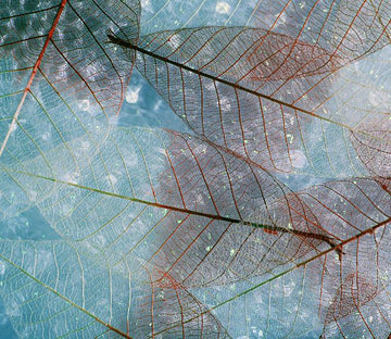 Leaf Veins 5 Wallpaper AJ Wallpaper 