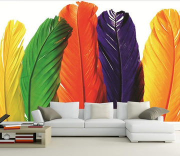 Colorful Feathers 1 Wallpaper AJ Wallpaper 
