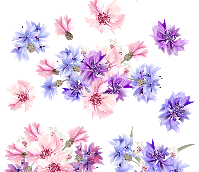 Delicate Blossoms Wallpaper AJ Wallpaper 