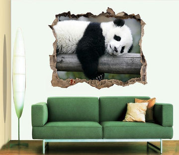 3D Lovely Panda 113 Broken Wall Murals Wallpaper AJ Wallpaper 
