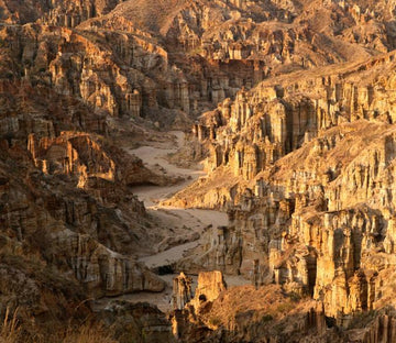 Stone Forest Wallpaper AJ Wallpaper 