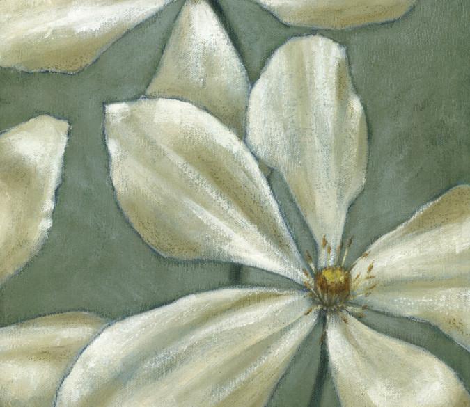 White Gardenias Wallpaper AJ Wallpaper 
